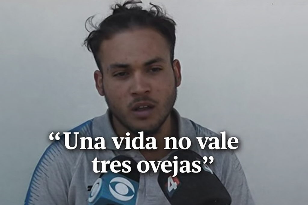 Foto;una vida no vale tres ovejas