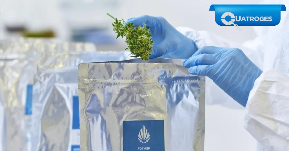 Cannabis medicinal: una regulación pionera que busca completar su ingreso al sistema de salud