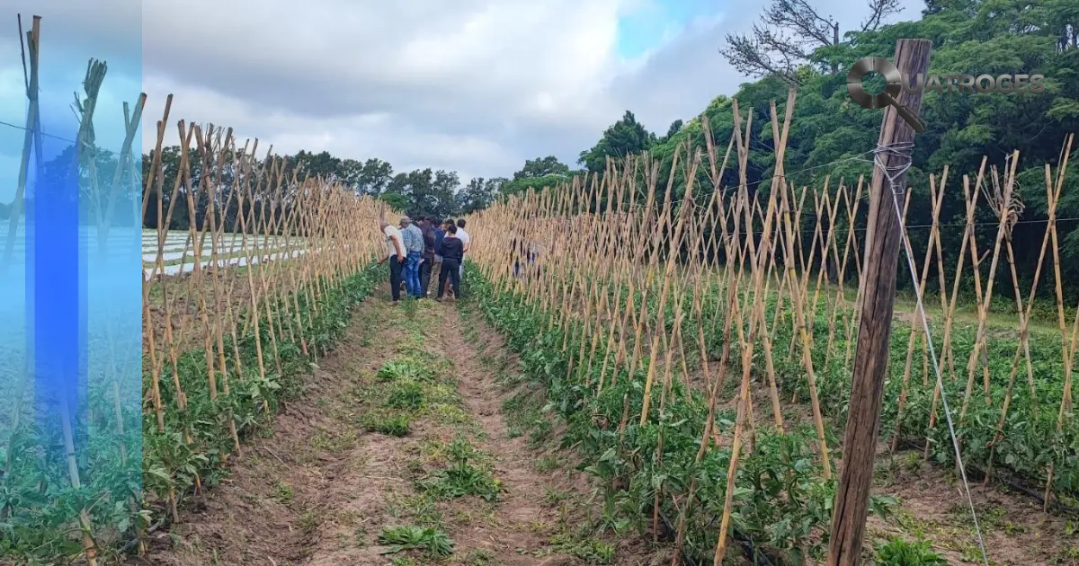 Ambiente, salud y modelo productivo: el PIT-CNT alerta sobre agrotóxicos, residuos y militarismo