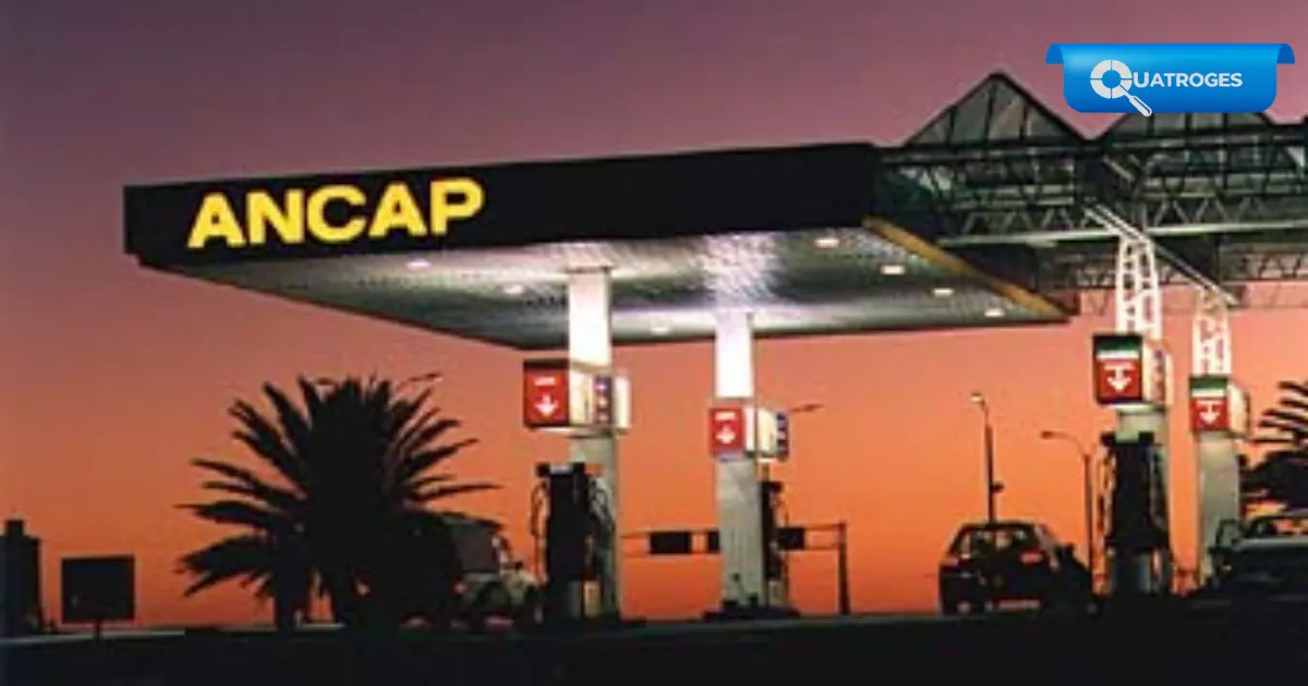 Combustibles: el gobierno baja la nafta, el gasoil y el supergás desde el 1.º de julio