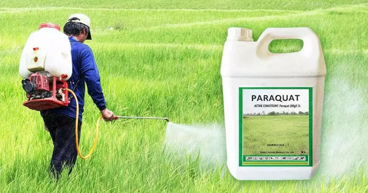 California comienza a retirar el paraquat mientras Uruguay mantiene autorizado su uso