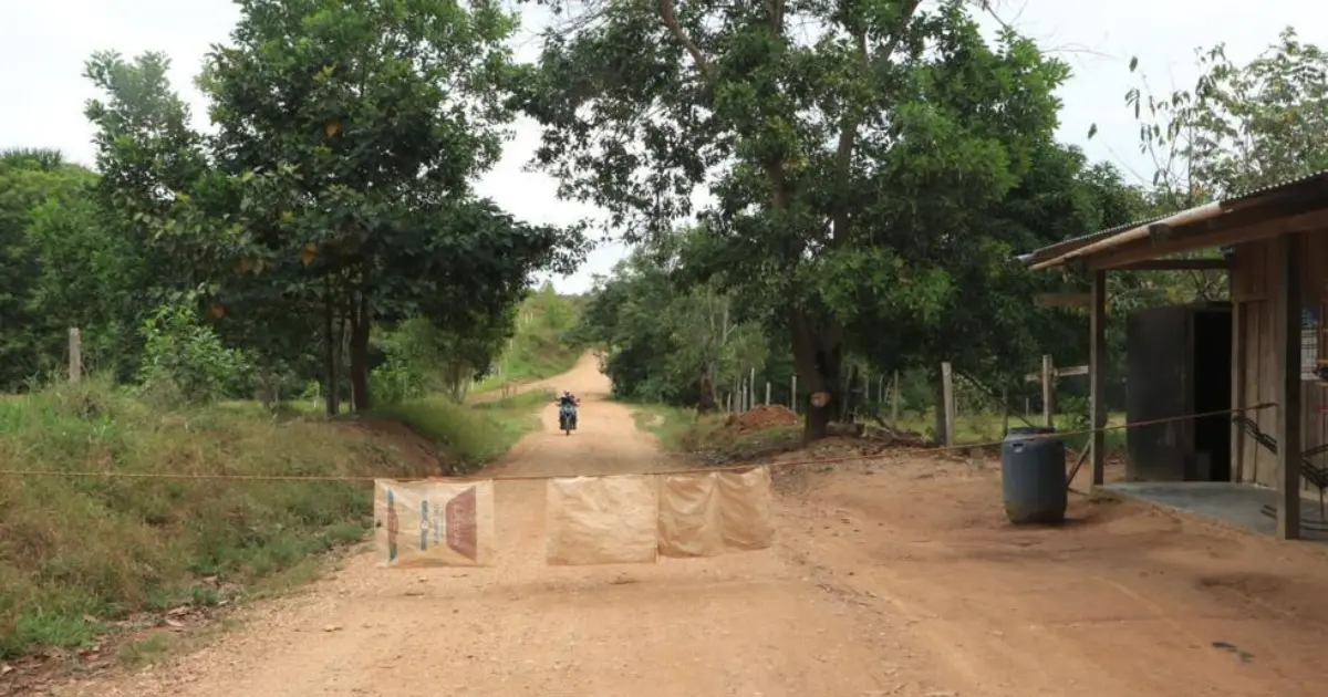 La vaca, la motosierra y el fusil: el negocio que devora la Amazonía colombiana
